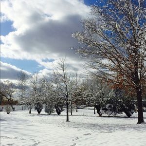 Meet your Posher, Carissa